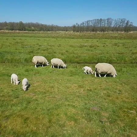 Villa Authentic Near Amsterdam And Nature Hoevelaken