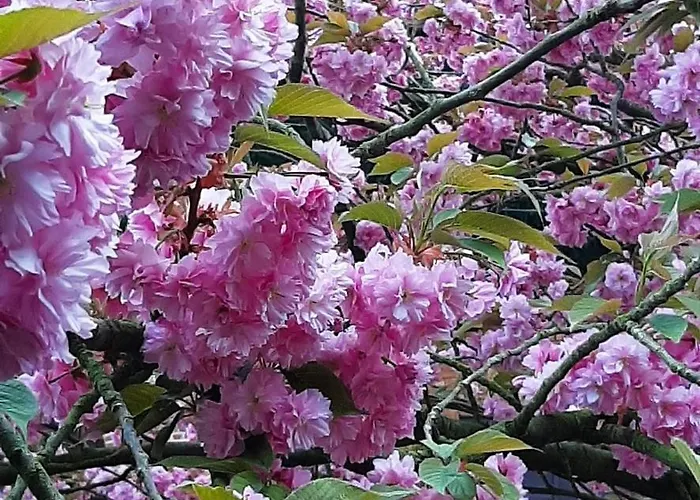 Authentic Near Amsterdam And Nature *