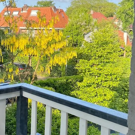 Authentic Near Amsterdam And Nature Villa
