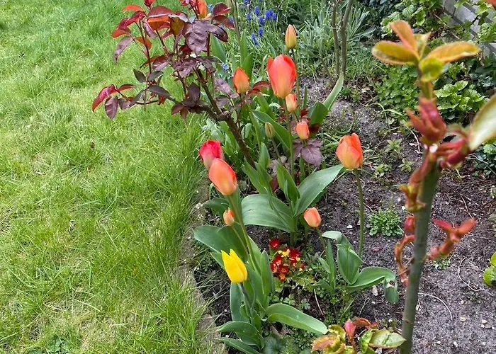 Authentic Near Amsterdam And Nature Вилла *