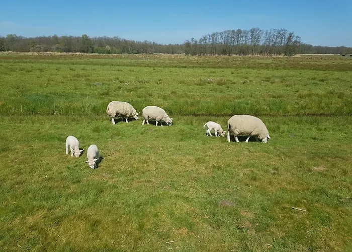 Вилла Authentic Near Amsterdam And Nature Hoevelaken